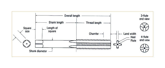 anatomy of a tap