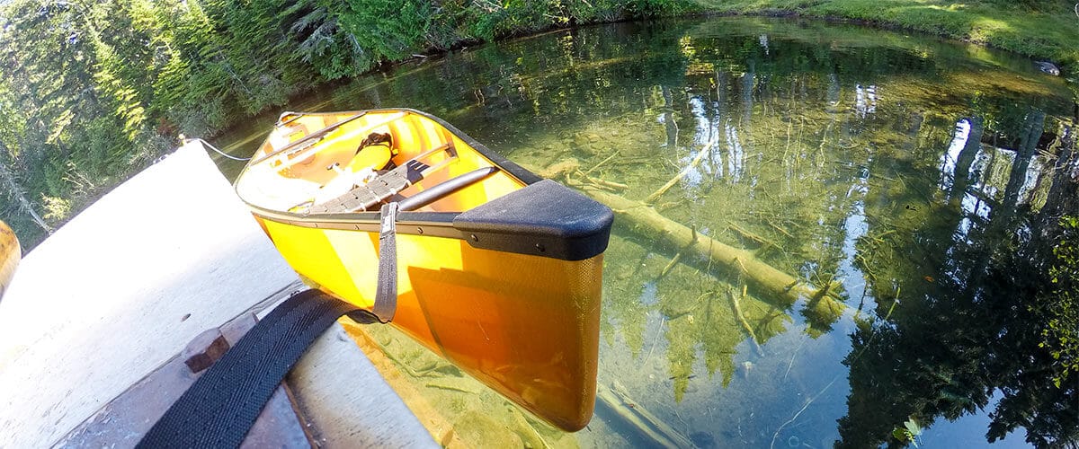 Isle Royale's Special Ecosystem