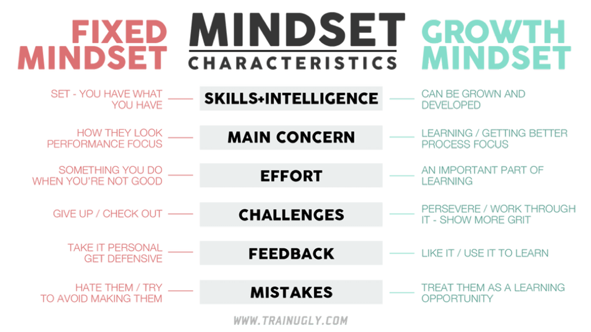Promote a Growth Mindset