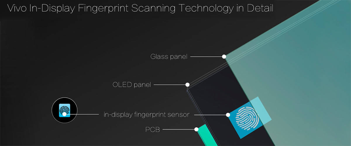 Digital Senses and Native Interfaces