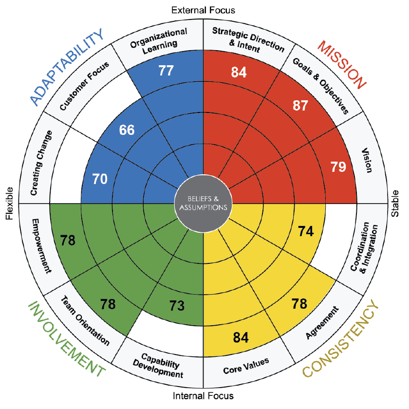 Denison Survey Graphic