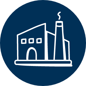 Product Launch Icon