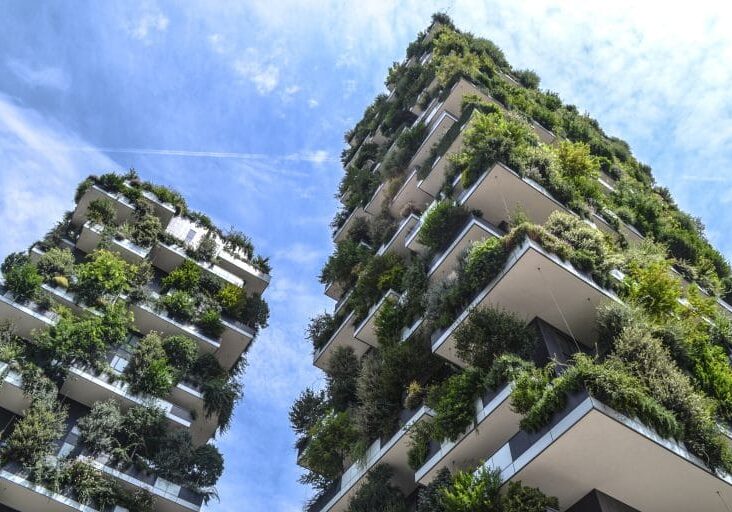 Sky scrapers with green plants